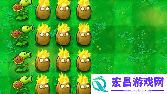 pvz杂交版火炬坚果有什么用