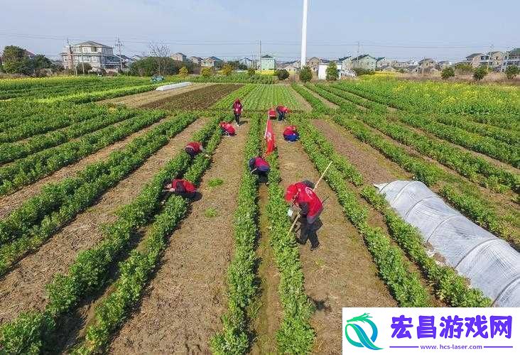 耕种妈**田