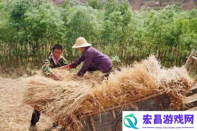 儿子耕种母亲的田地