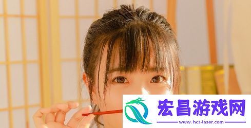 深入了解日本windowsserver软件