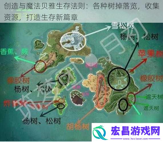 创造与魔法贝雅生存法则