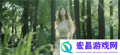 AAAA级毛皮最简单三个标志