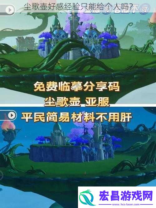 尘歌壶好感经验只能给个人吗