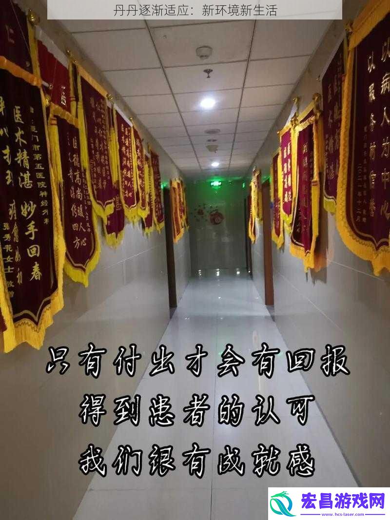 丹丹逐渐适应