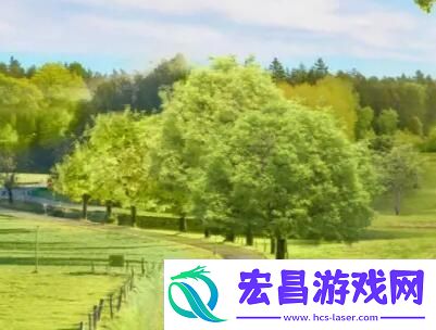 妻子的秘密免费版电视剧不再免费了