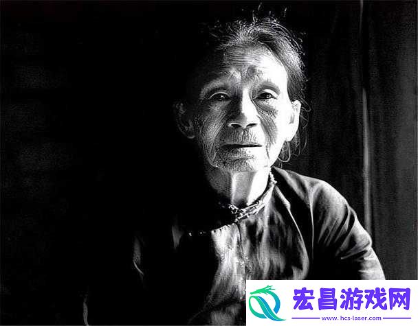 精灵被改造成产子工具