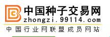 “种梦”狂潮