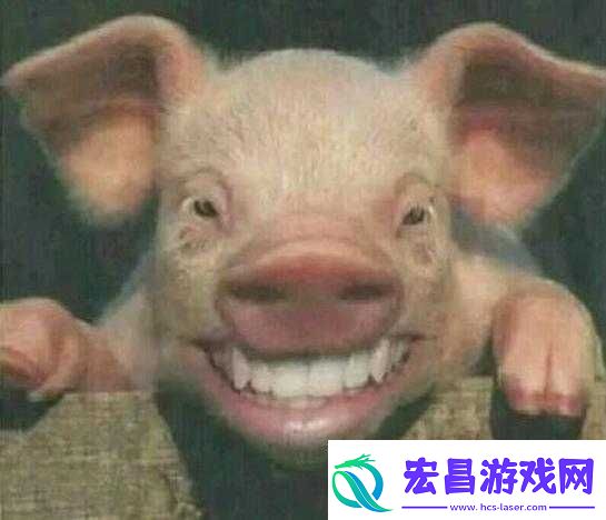 ZOOSKOOL狗人马猪