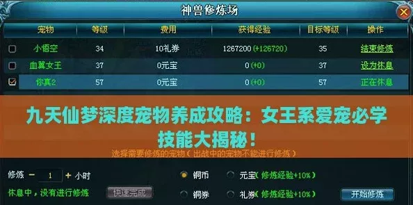 九天仙梦深度宠物养成攻略