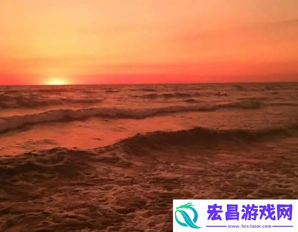 蜜丝婷大草莓和小草莓对比