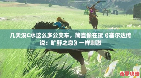 几天没C水这么多公交车简直像在玩塞尔达传说