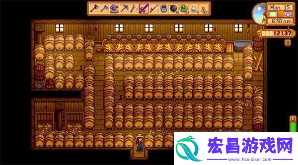 星露谷物语芒果树种哪里