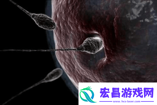 人是怎么配的种