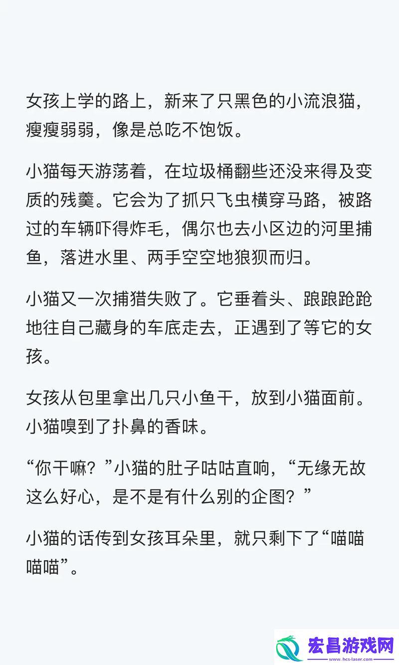 “炖”在梦乡之前