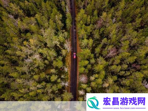手游新视界姚安娜跨界荣耀戛纳短片奖点燃玩家创意火花！