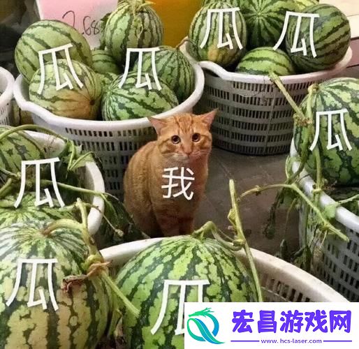 “全网吃瓜盛宴我竟只捡了芝麻”