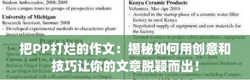 把PP打烂的作文