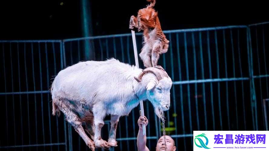 大奇幻时代渡劫系统介绍