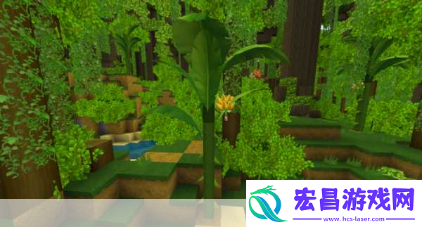 探索香蕉弯曲之谜