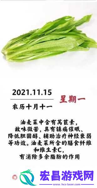 油麦菜的奇妙世界
