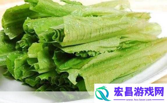 油麦菜的奇妙世界