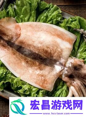 科技界的鱿鱼盛宴