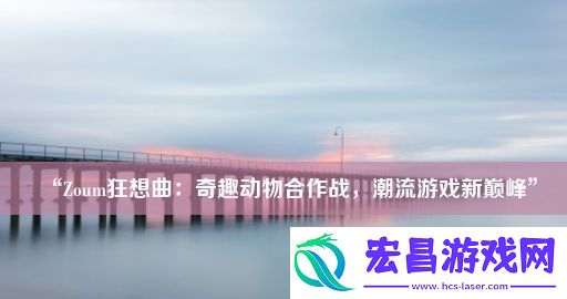 “Zoum狂想曲