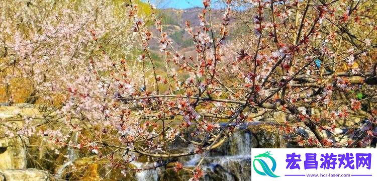 桃花洞口已是溪水潺潺