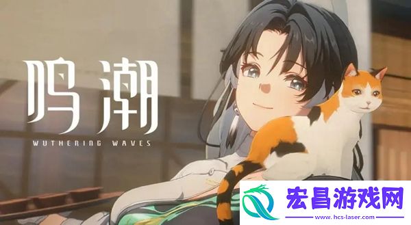 鸣潮怨鸟泽解谜宝箱位置在哪