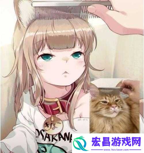可爱的猫娘S搭配攻略