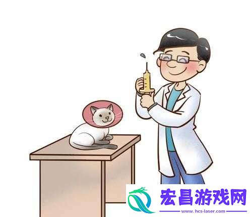 姬喵详解