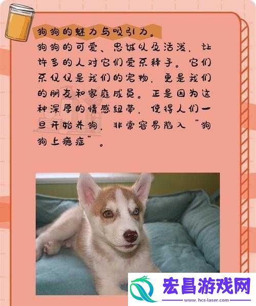 狗狗让我上瘾戒不掉怎么办