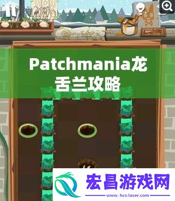 Patchmania龙舌兰攻略