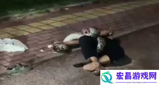 男子被超2米长蟒蛇缠住