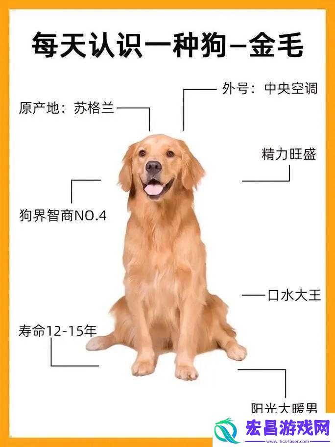 狗子放置推图攻略技巧分享