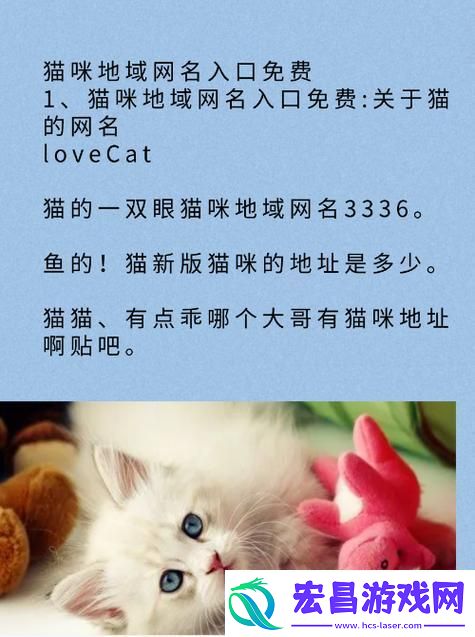 喵星人占领网络