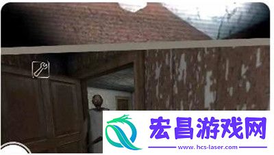 GOGOGO中国版观众反馈与魅力展现