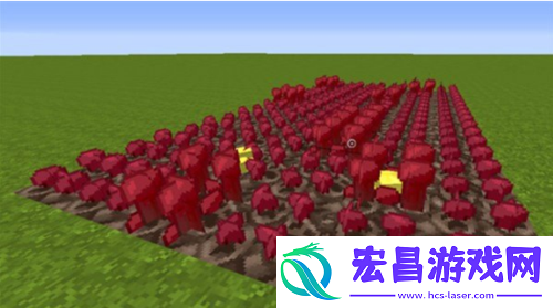 建议