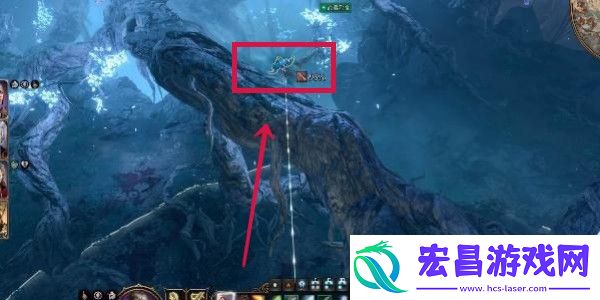 博德之门3怎么拿轻语树皮轻语树皮获取方法介绍