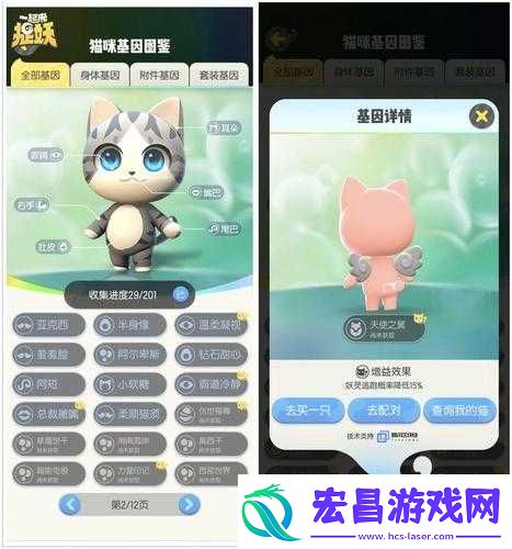 起来捉妖猫的养成攻略