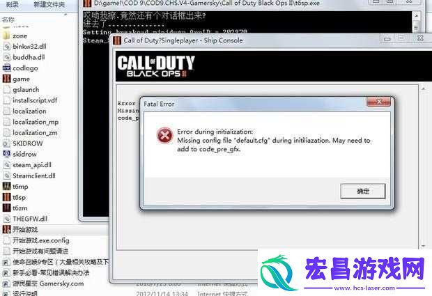 使命召唤9error