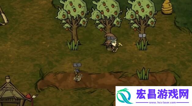 饥荒新家园浣熊世界音符在哪