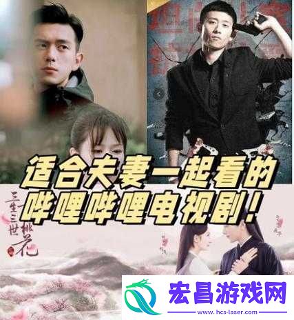 适合夫妻一起看的哔哩哔哩电视剧