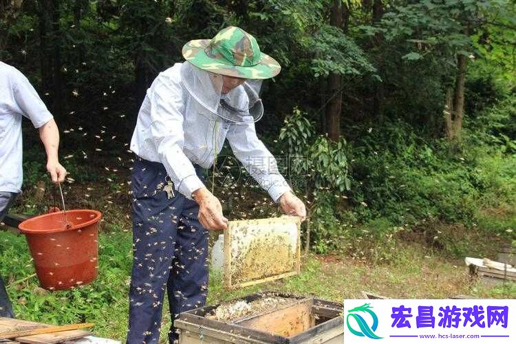 采蜜