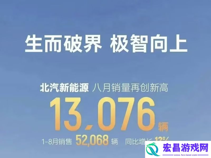 2024年8月汽车销量