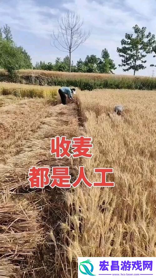 科技江湖