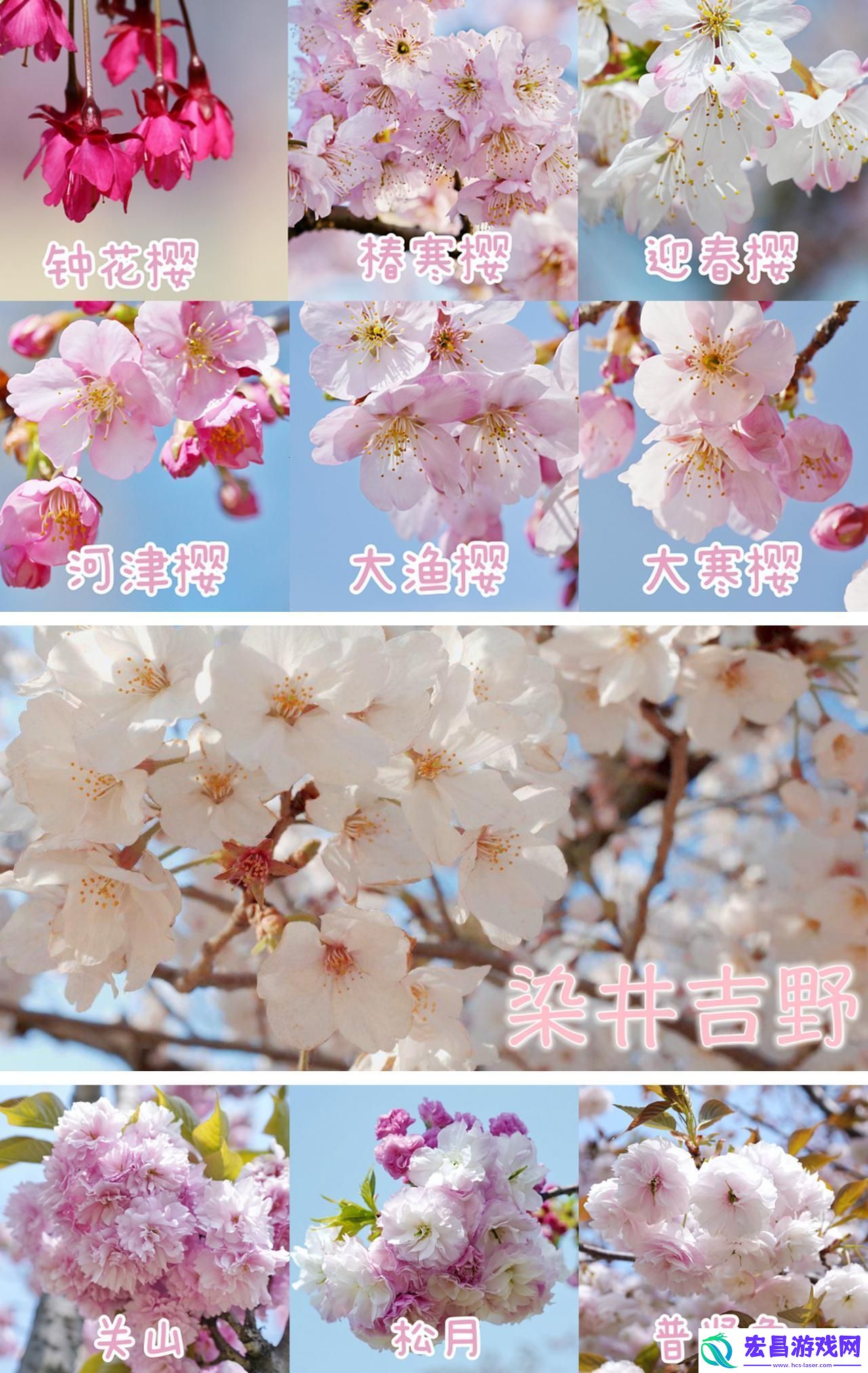 我可不可以