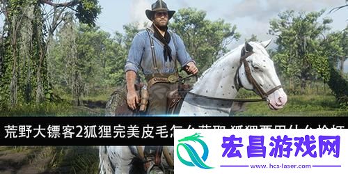 猎奇寻珍