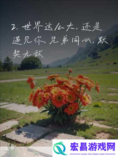 兄弟默契1V2