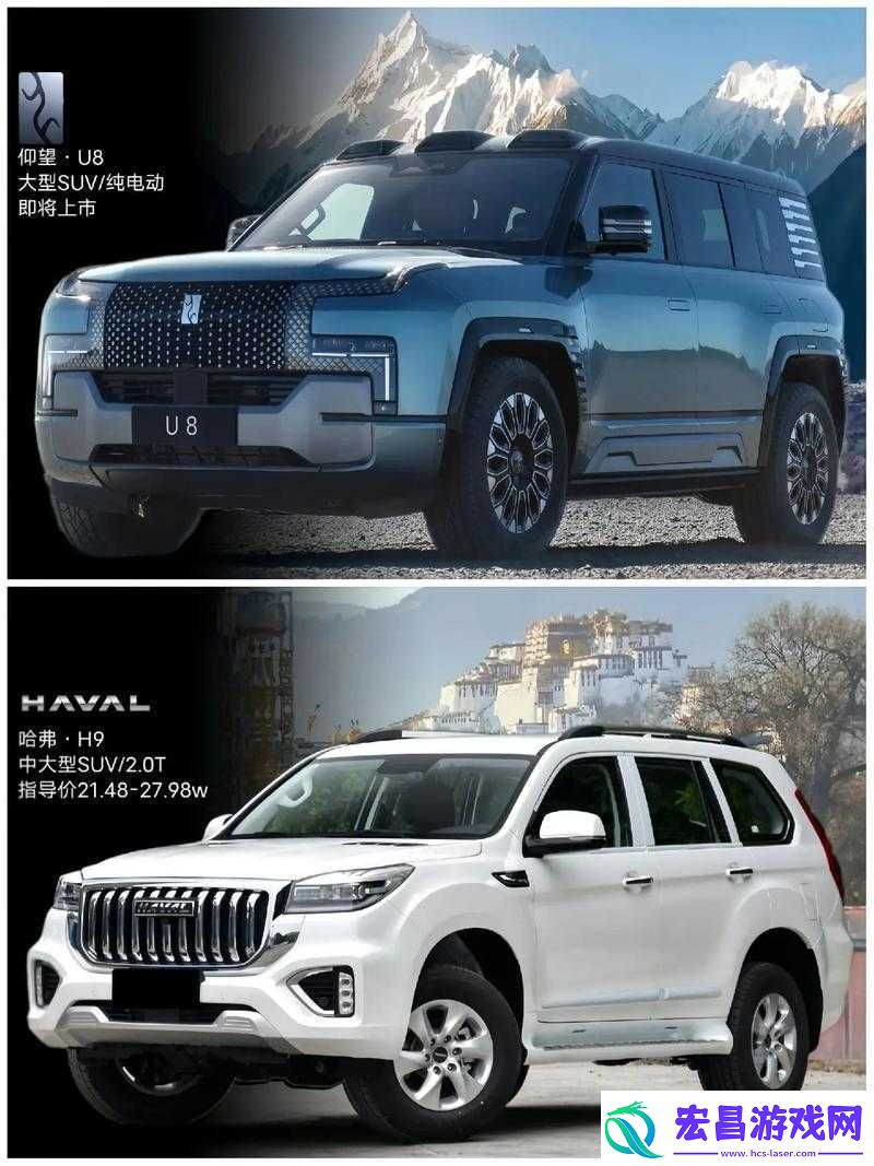 国产